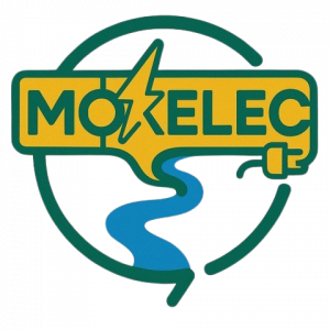 cropped-cropped-cropped-Logo-Moelec-1-removebg-preview-300x300